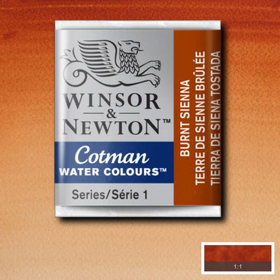 Winsor & Newton Cotman akvarellfärg halvkopp, Burnt Sienna