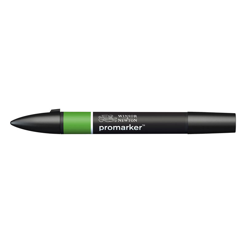 Winsor & Newton Promarker Pine G635 marker med dubbelspets frilagd på vit bakgrund