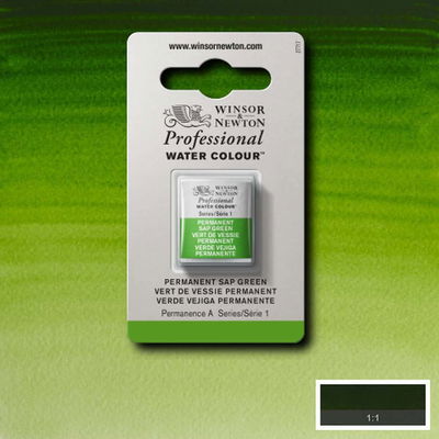 Winsor & Newton Professional Water Colour Permanent Sap Green i halvkopp som visas mot målad bakgrund i samma färg.