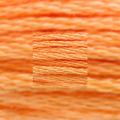 Närbild av separerbara 6 trådar bomull Medium Autumn Gold 3854