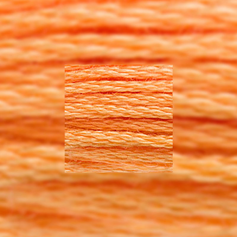 Närbild av separerbara 6 trådar bomull Medium Autumn Gold 3854