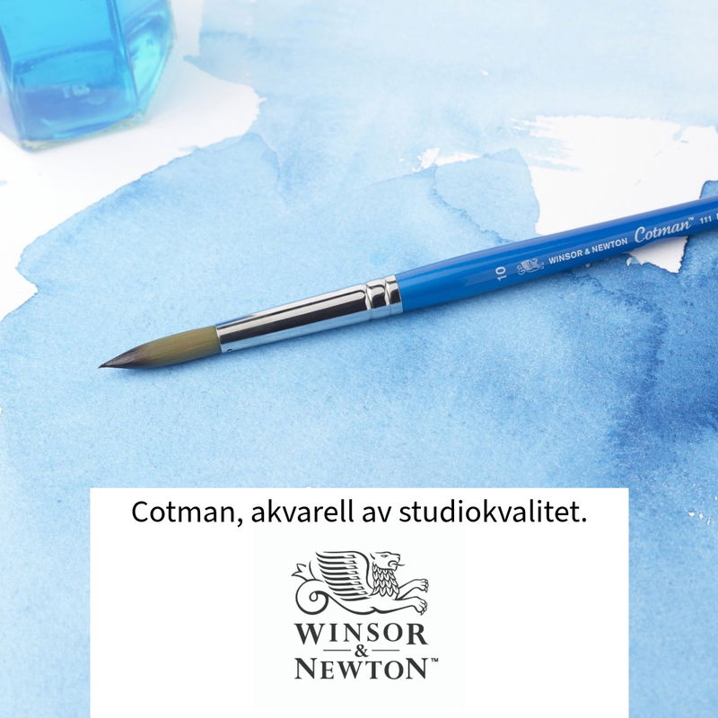 Winsor & Newton Cotman akvarellfärg, studiokvalitet med pro-känsla