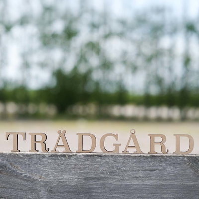 Ordet trädgård i stående träbokstäver 5 cm utomhus