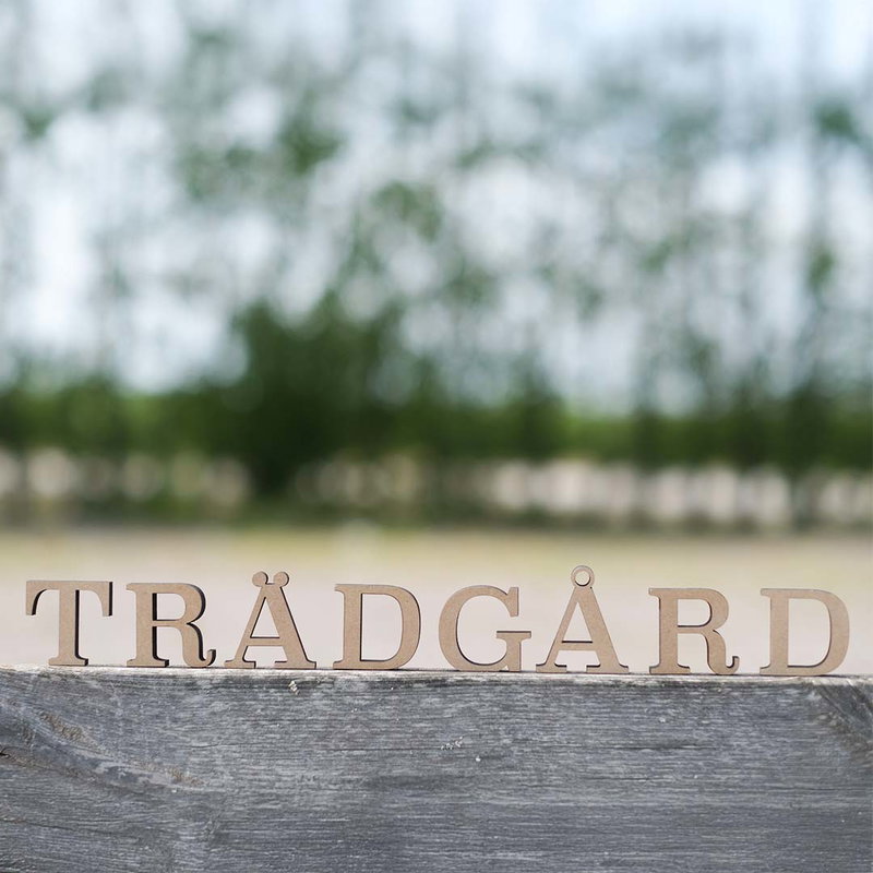 Ordet trädgård i stående träbokstäver 5 cm utomhus