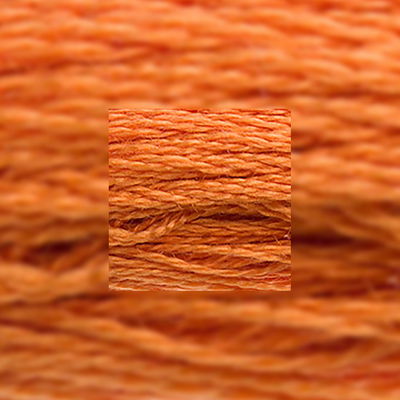 Närbild av separerbara 6 trådar bomull Dark Autumn Gold 3853