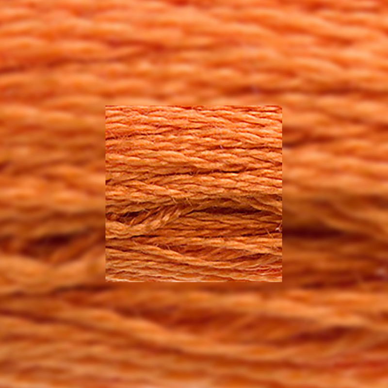 Närbild av separerbara 6 trådar bomull Dark Autumn Gold 3853