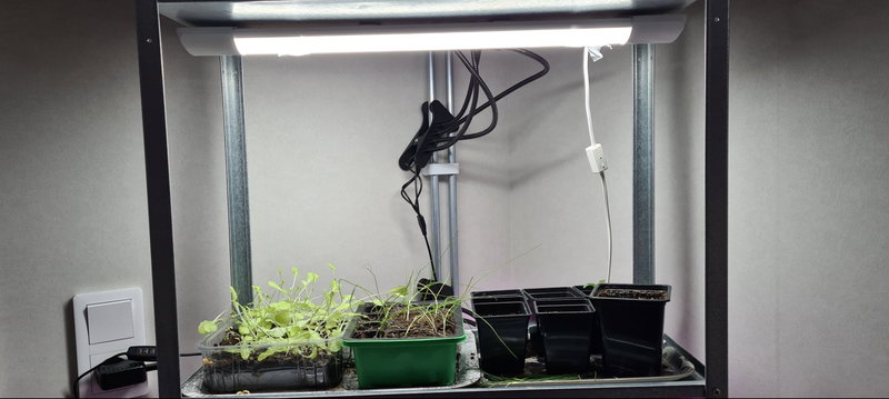 LED Växtbelysning | 60cm | 14W | Kallvit 6000K | High-Lumen