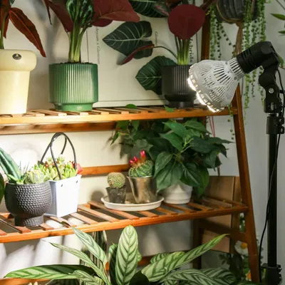 SANSI justerbar växtlampa 40W med stativ och fjärrkontroll