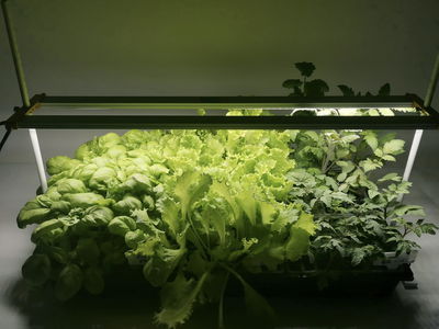 Växtbelysning Dual-bar 36W | Komplett-kit | Inkl. timer och stativ | 60 cm