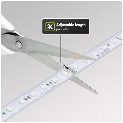 LED Strip | RGBW | 14W/meter | IP67 | 230V | 5050