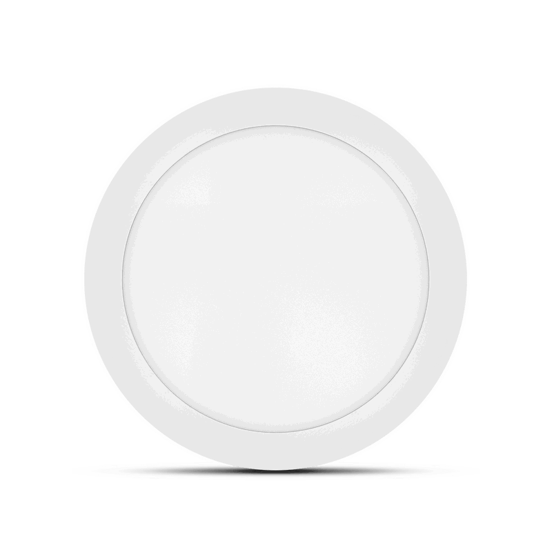 media-1709291958221 (1)