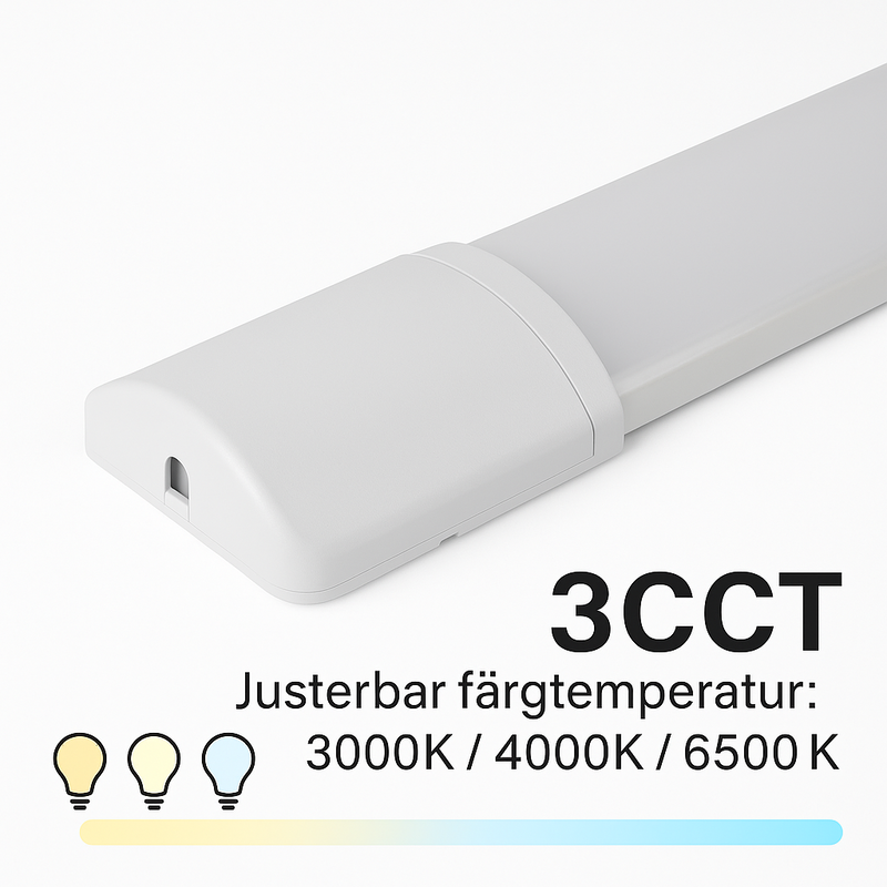 ChatGPT Image Jul 24, 2025, 10_50_31 AM