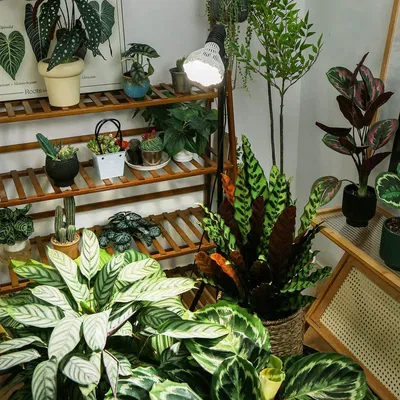 SANSI justerbar växtlampa 40W med stativ och fjärrkontroll