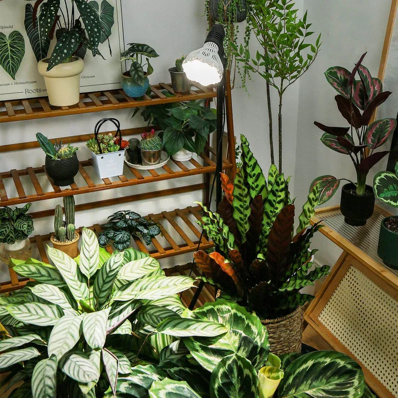 SANSI justerbar växtlampa 40W med stativ och fjärrkontroll