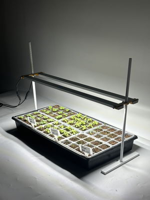 Växtbelysning Dual-bar 36W | Komplett-kit | Inkl. timer och stativ | 60 cm