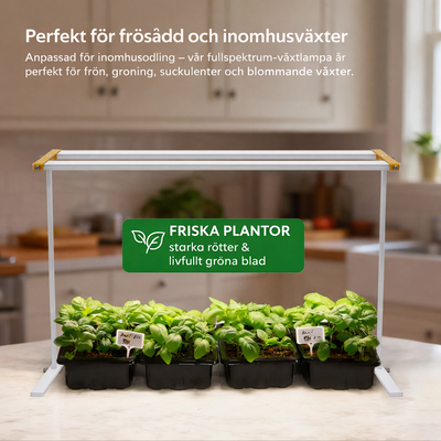 Växtbelysning Dual-bar 36W | Komplett-kit | Inkl. timer och stativ | 60 cm
