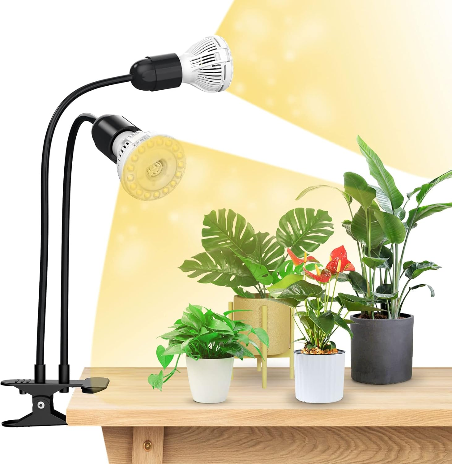 SANSI 2x10W Växtlampa med fäste