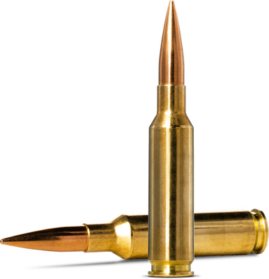 NORMA GOLDEN TARGET
