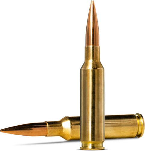 NORMA GOLDEN TARGET