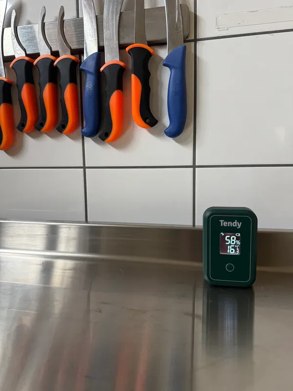 Tendy Lucus 4G mörningstimer