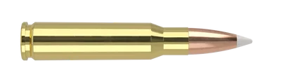 Nosler Trophy Grade Ammunition 308 Win, 165gr