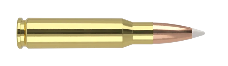 Nosler Trophy Grade Ammunition 308 Win, 165gr