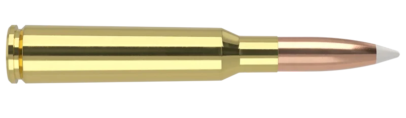 Trophy Grade 6.5x55 SE 140 gr AccuBond