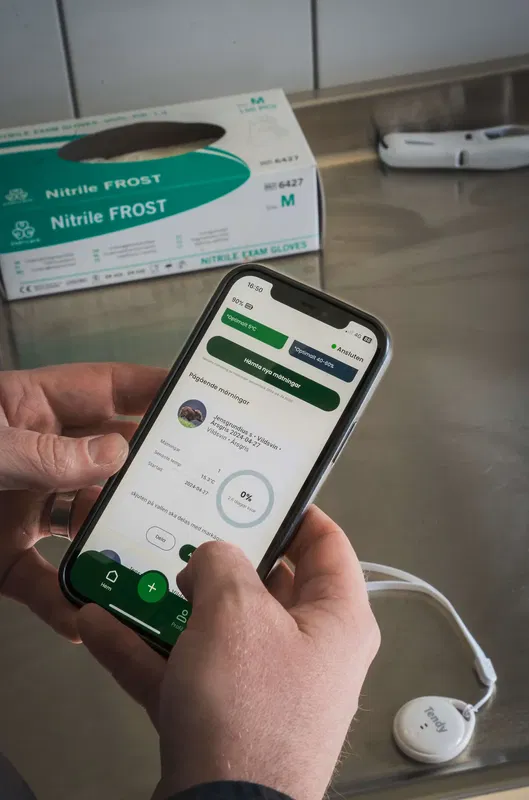 Tendy Nemus mörningstimer