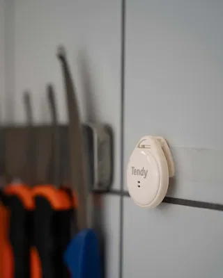 Tendy Nemus mörningstimer