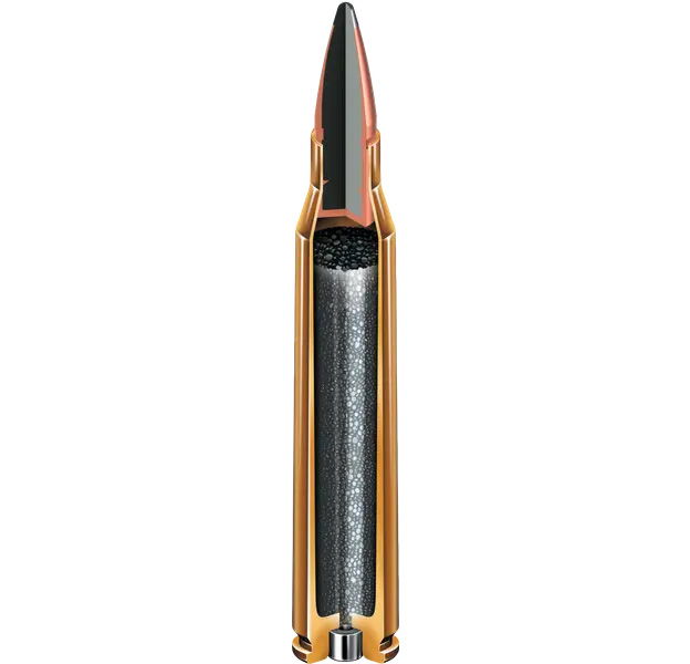 HORNADY CUSTOM™ 30-06 SPRG 180 GR SP 20/BOX