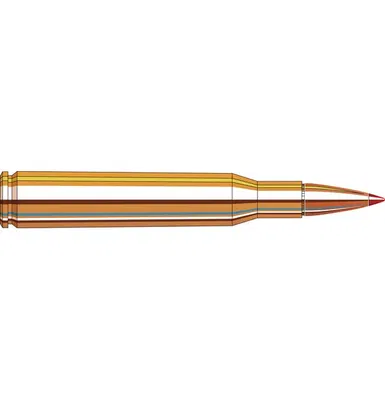 Hornady Superformance® SST® 20/Box