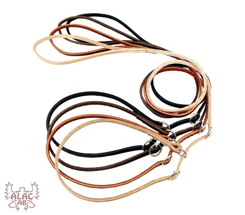 Alac utställningskoppel poly 6mm * 160cm