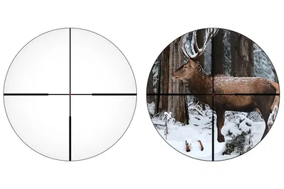 Alpen APEX XP Rifle Scope 1-6x24 A4 (LT)