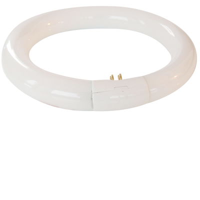 Cirkellysrör T9 G10q 845 40W