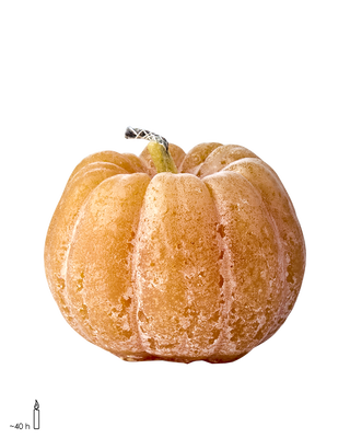 Event Uteljus Pumpa Ocra