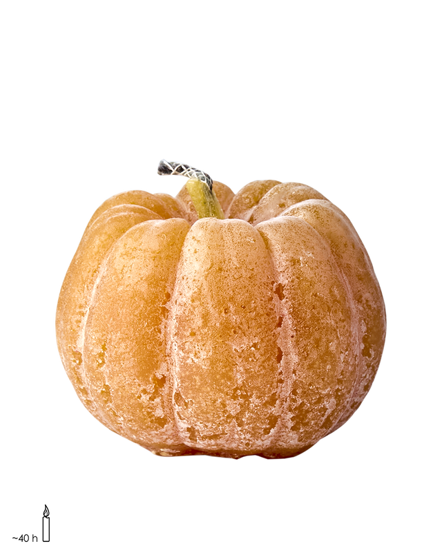 Event Uteljus Pumpa Ocra