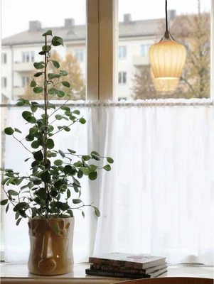Lyxiga fönsterlampor från PR Home