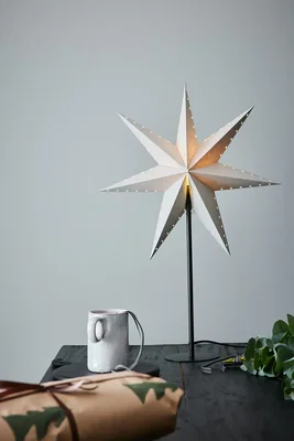 Grå Julstjärna på fot