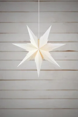 Utstickande vita julstjärnor