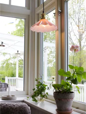 August fönsterlampa 25 rosa