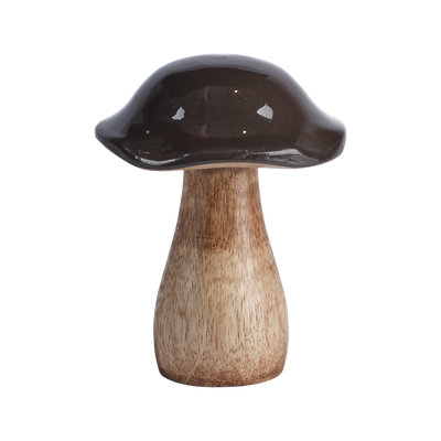 Tim Dekorationssvamp H12 Brun/Natur