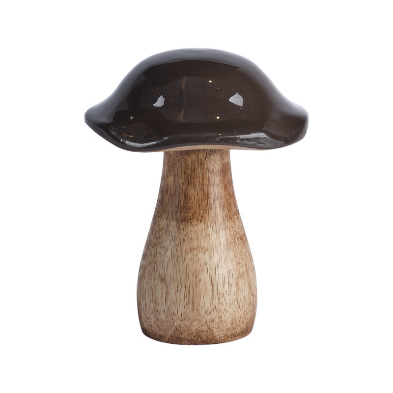 Tim Dekorationssvamp H12 Brun/Natur