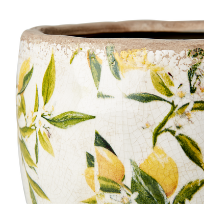 Lemona Krukor Rund Citron Gul