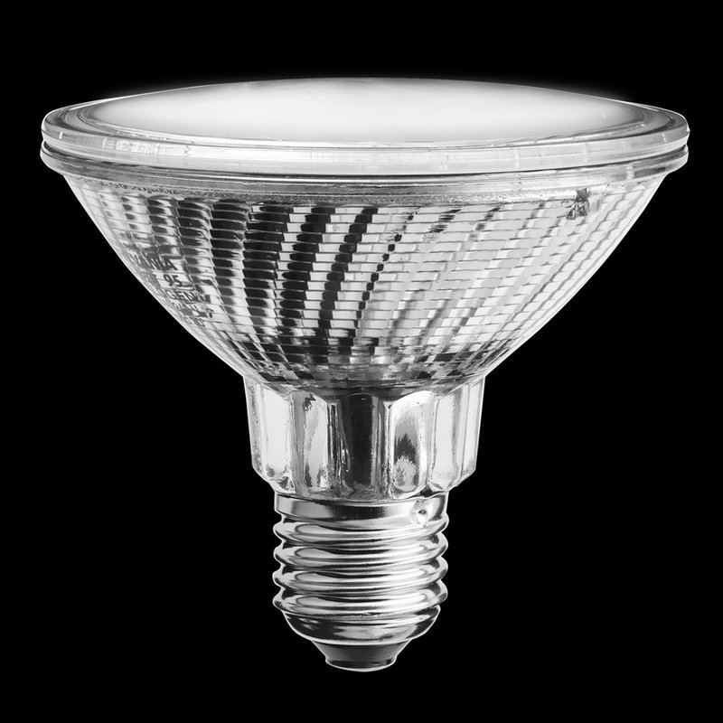 Hi spot PAR30 E27 100W