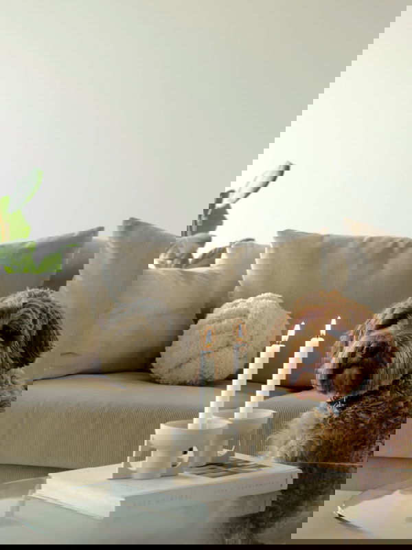 Lilo Prydnadskudde 25cm Offwhite