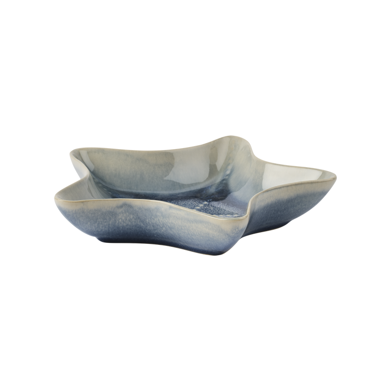 Fish Skål Sjöstjärna Blå