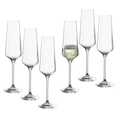 Champagneglas puccini 280ml 6-pack