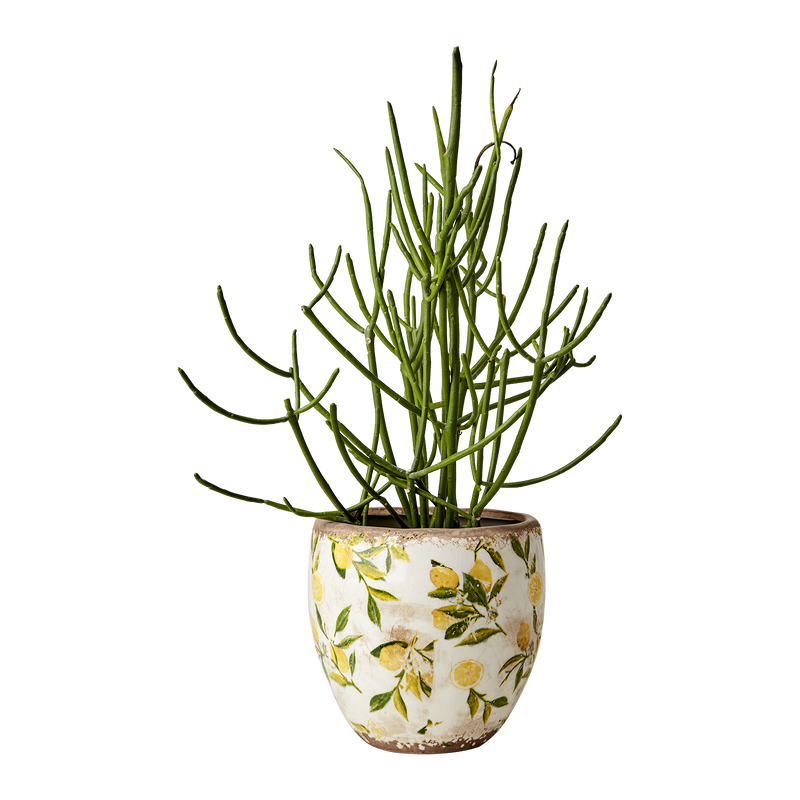 Lemona Krukor Rund Citron Gul