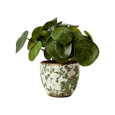 Victoria Krukor Rund Blad Grön