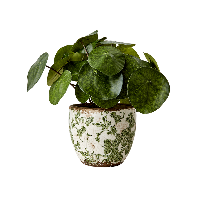 Victoria Krukor Rund Blad Grön